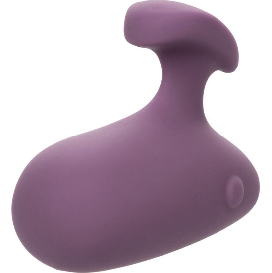 Calexotics MOD TOUCH STIMULATOR PURPLE