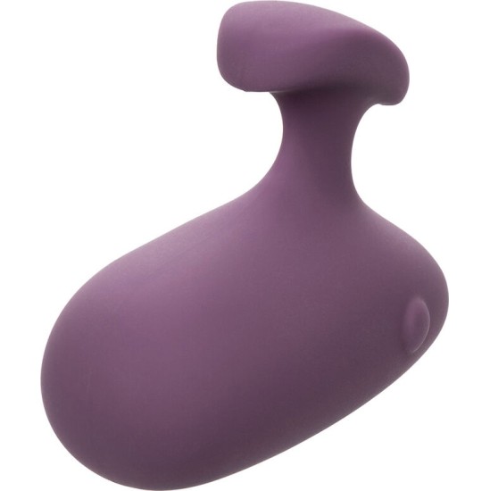 Calexotics MOD TOUCH STIMULATOR PURPLE