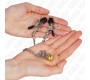Kink Nipple Grip KINK - CHAIN NIPPLE CLAMPS WITH BELL 30 CM