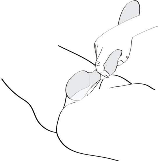 Shunga Toys SHUNGA - ZOA INTIMATE MASSAGER PINK