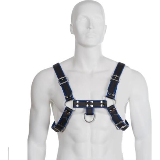 Leather Body BLUE AND BLACK LEATHER HARNESS CHEST BULLDOG