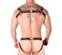 Macho Underwear MACHO - DOUBLE HARNESS PRIDE LIMITED