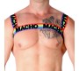 Macho Underwear MACHO - DOUBLE HARNESS PRIDE LIMITED