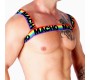 Macho Underwear MACHO - DOUBLE HARNESS PRIDE LIMITED