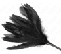 Kink Impact & Touch KINK - TICKLE FEATHERS WITH RUFFLE 48 CM