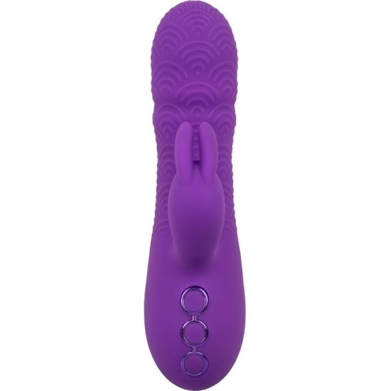 Calexotics MANHATTAN BEACH MARVEL VIBRATOR RABBIT PURPLE BY CALIFORNIA DREAMING