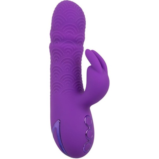 Calexotics MANHATTAN BEACH MARVEL VIBRATOR RABBIT PURPLE BY CALIFORNIA DREAMING