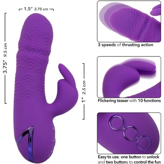 Calexotics MANHATTAN BEACH MARVEL VIBRATOR RABBIT PURPLE BY CALIFORNIA DREAMING