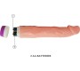 Baile Vibrators BAILE - NATURAL REALISTIC VIBRATOR 22 CM