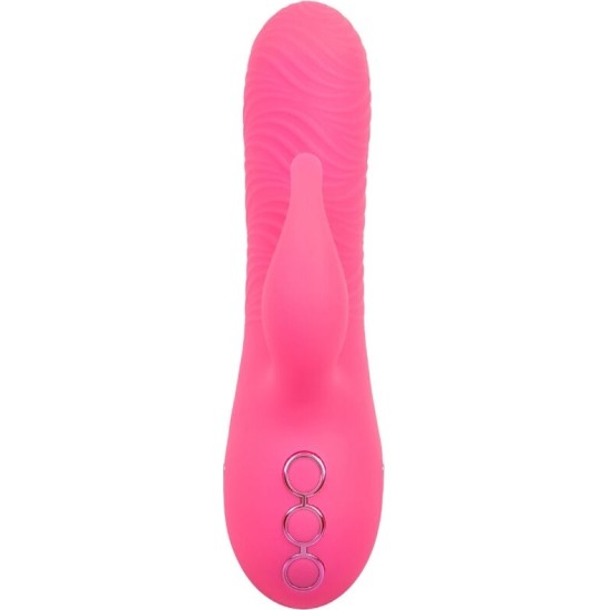 Calexotics SACRAMENTO SWEETIE VIBRATOR RABBIT PINK BY CALIFORNIA DREAMING