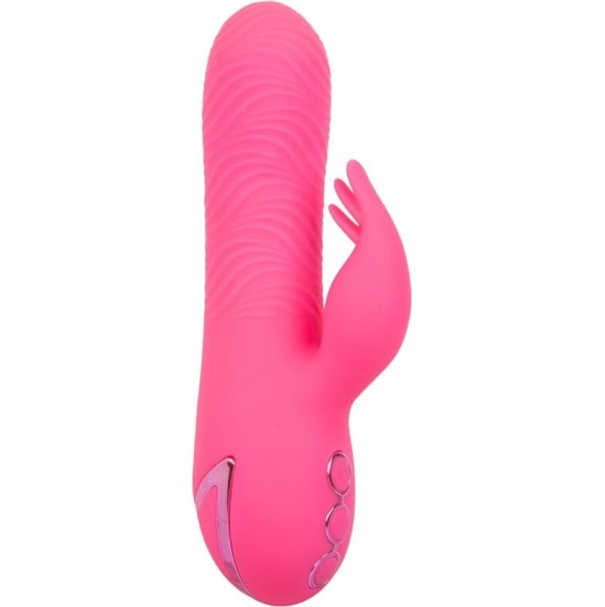 Calexotics SACRAMENTO SWEETIE VIBRATOR RABBIT PINK BY CALIFORNIA DREAMING