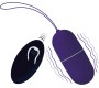 Intense Couples Toys INTENSE - FLIPPY I VIBRATING EGG WITH REMOTE CONTROL PURPLE