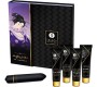 Shunga Kits SHUNGA - NAUGHTY GEISHA KIT