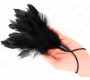 Kink Impact & Touch KINK - TICKLE FEATHERS WITH ROPE HANDLE PLASTIC BASE 15 CM