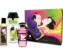 Shunga Kits SHUNGA - KIT FRUITY KISSES COLLECTION
