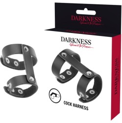 Darkness Bondage DARKNESS - LEATHER ADJUSTABLE PENIS AND TESTICLE RING