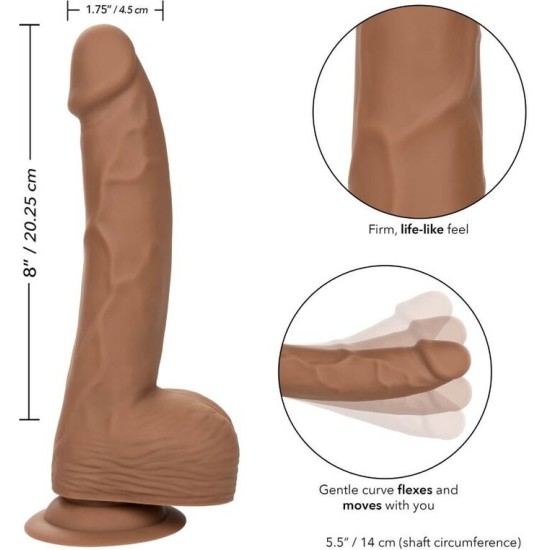 Calexotics SILICONE STUDS 20.32 CM BROWN