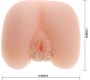 Baile For Him BAILE - REALISTIC VAGINA AND ASS