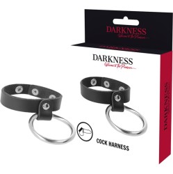 Darkness Bondage DARKNESS - METAL RING FOR THE PENIS AND TESTICLES
