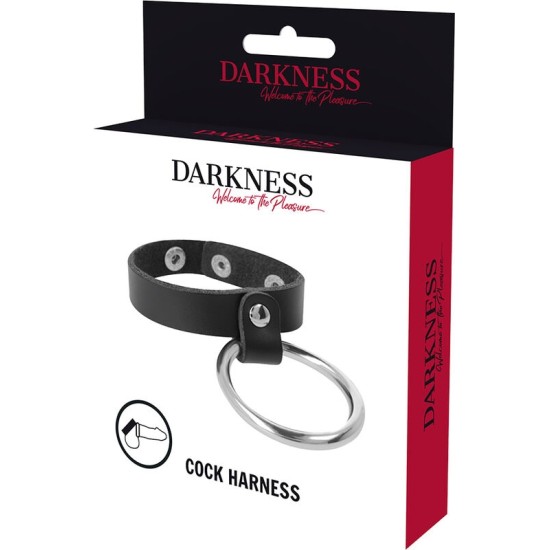 Darkness Bondage DARKNESS - METAL RING FOR THE PENIS AND TESTICLES