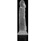 X Ray CLEAR COCK 19 CM -O- 4 CM