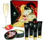 Shunga Kits SHUNGA - SECRET GEISHA STRAWBERRIES AND CAVA KIT