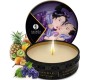 Shunga Kits SHUNGA - SECRET GEISHA EXOTIC FRUITS