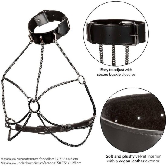 Calexotics EUPHORIA PLUS SIZE MULTI CHAIN COLLAR HARNESS