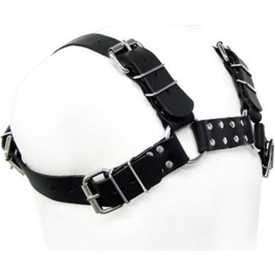 Leather Body BLACK BULL DOG HARNESS