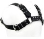 Leather Body BLACK BULL DOG HARNESS