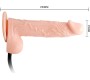Baile Dildos DANCE - REALISTIC INFLATABLE DILDO WITH SUCTION CUP 15 CM