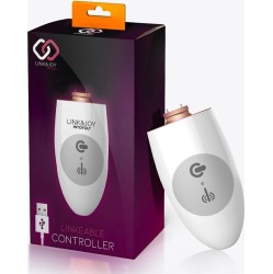 Link&Joy Controller USB
