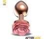 Afterdark Rosegold Metal Anal Plug with Pink Rose Base - Size S