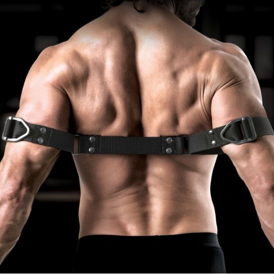 Sir Richards - COMMAND BICEPS BENDER