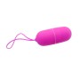 Pretty Love Flirtation PRETTY LOVE VIBRATING EGG ARVIN REMOTE CONTROL 12V