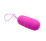 Pretty Love Flirtation PRETTY LOVE VIBRATING EGG ARVIN NUOTOLINIO KONTROLĖ 12V