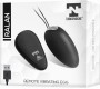 Tardenoche Ralan Vibrating Egg with Remote Control Magnetic USB