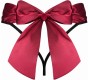 Obsessive Thong with Bow