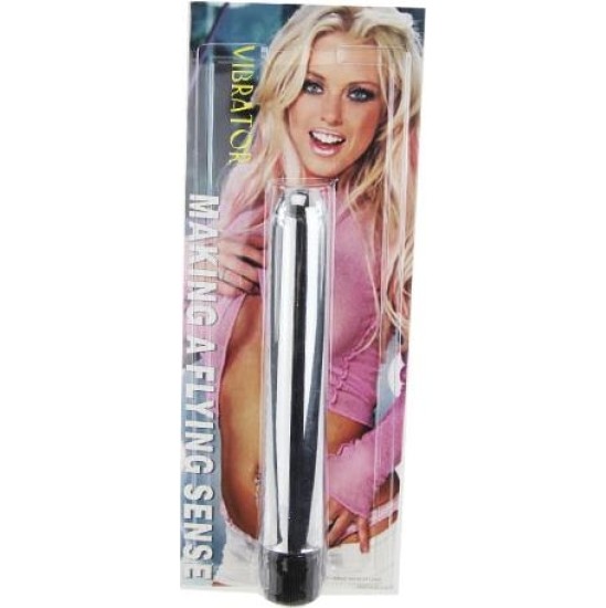 Baile Vibe Making a Flying Sense