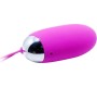 Prettylove Vibrating Egg Berger Pink