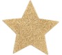 Bijoux Flash Collection BIJOUX - INDISCRETS FLASH GOLDEN STAR NIPPLE COVERS