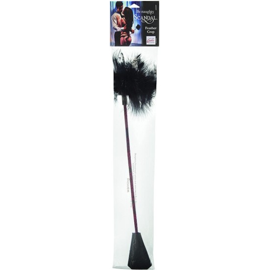Calexotics SCANDAL BLACK FEATHER WHIP