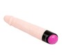 Baile Rotations COLORFUL SEX REALISTIC Dildo VIBRATION AND ROTACION FUNCTION 24 CM