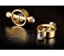 Fetish Fantasy Gold MAGNETIC CLAMPS