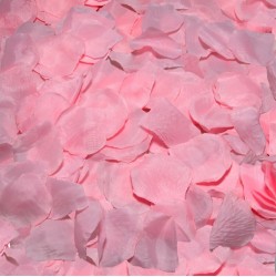 Diablo Picante - 100 rozā ziedlapiņas