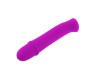 Pretty Love Flirtation Vibrators violets