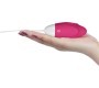 Lovetoy Vibrating Egg IJoy Remote Control USB Pink
