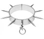 Metal Hard BDSM SLAVE COLLAR WITH POINTS