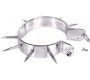 Metal Hard BDSM SLAVE COLLAR WITH POINTS