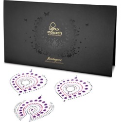 Bijoux Desire Metallique BIJOUX - INDISCRETS FLAMBOYANT LILA & PINK